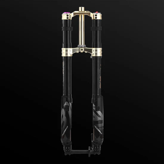 RFloXa Hawk31 Max (Gold)